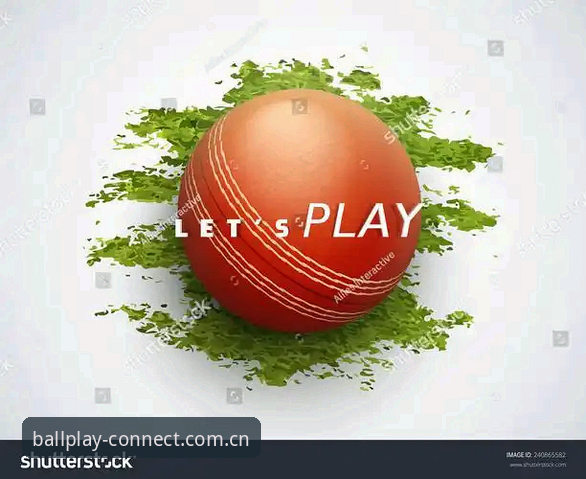 揭秘PlayQ Sports安卓安装包：一个老用户亲测三个月后的真实体验